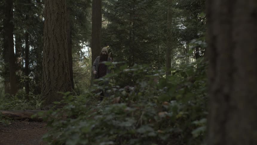 A man hikes in the woods