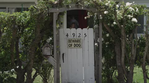 Man exits a house with a beware of dog sign on the gate