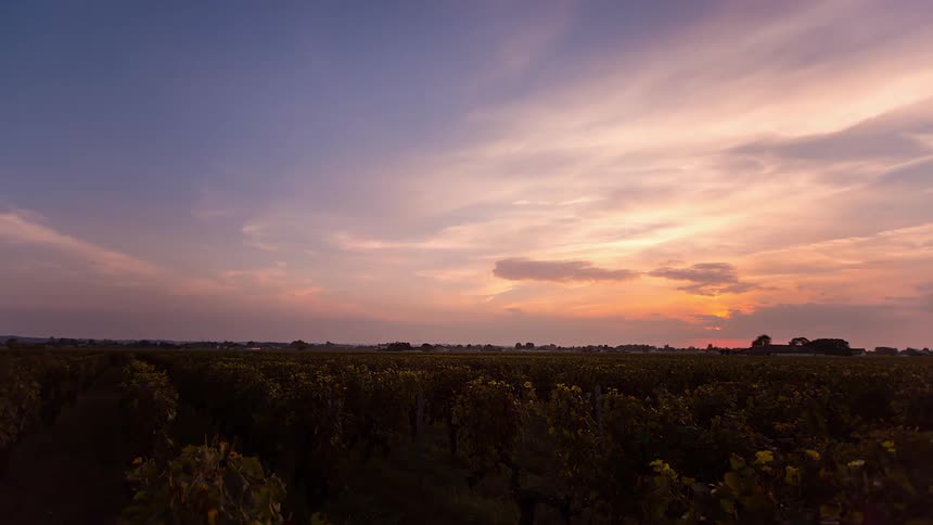 Time lapse video of clouds passing over a field of grapes as the sun sets