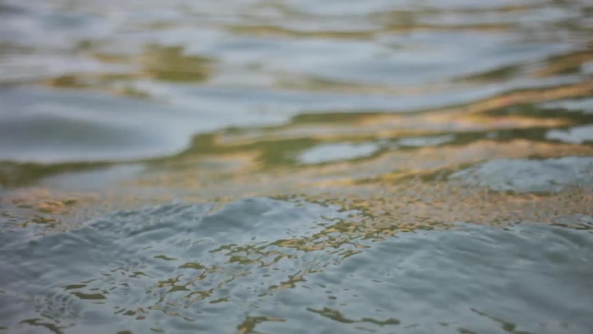 Light reflecting off shaky waters on a sunny day