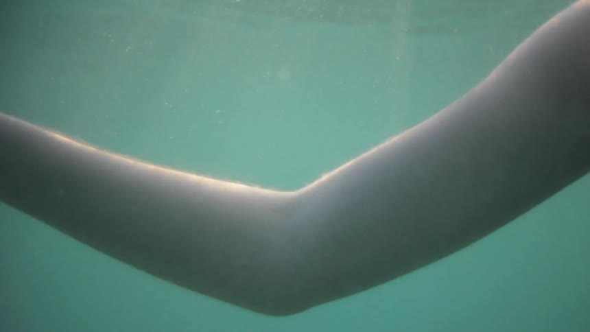 A woman swims in water