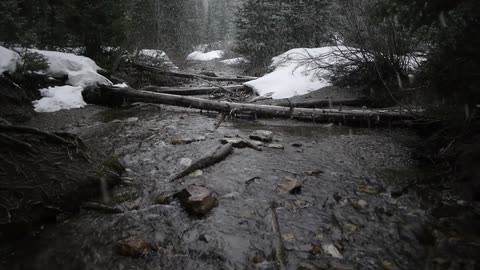A stream in the woods with snow falling heavily