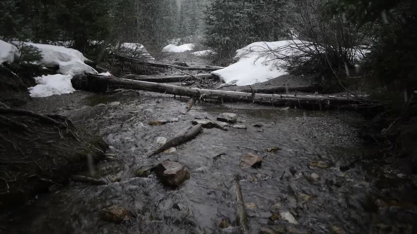 A stream in the woods with snow falling heavily