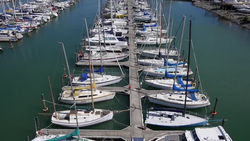 Sailboats float in a marina