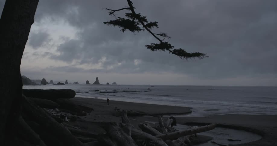 A person standing on the beach on an overcast, cloudy day with driftwood in the foreground and large rocks in the background