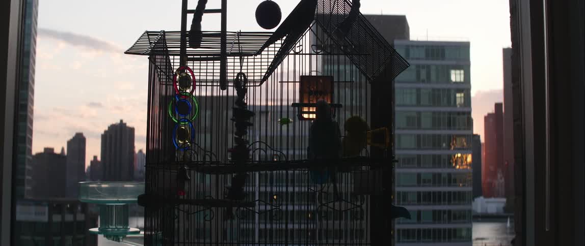 Parakeets in a bamboo cage with the city skyline in the background