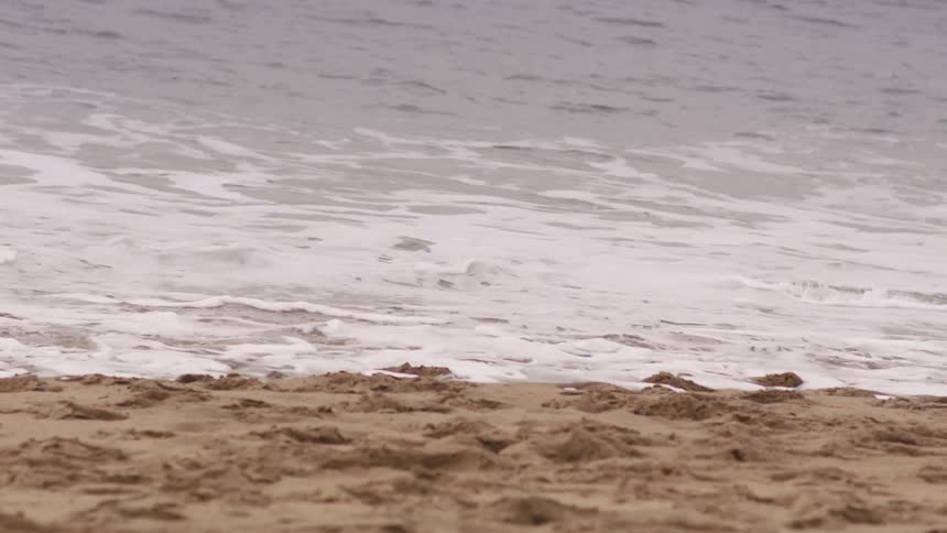 Small waves coming ashore on a wet sandy beach