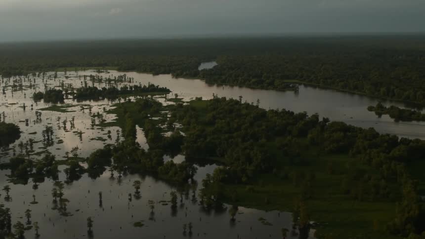 View of a swamp on a cloudy day