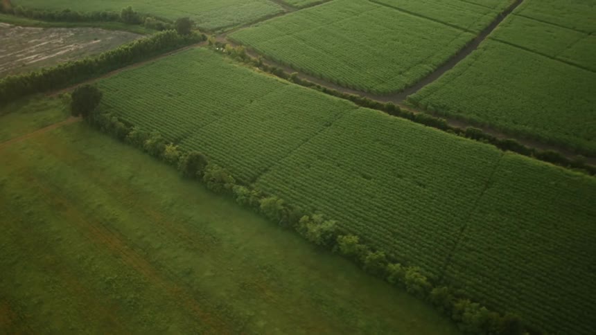 Countryside is seen from above