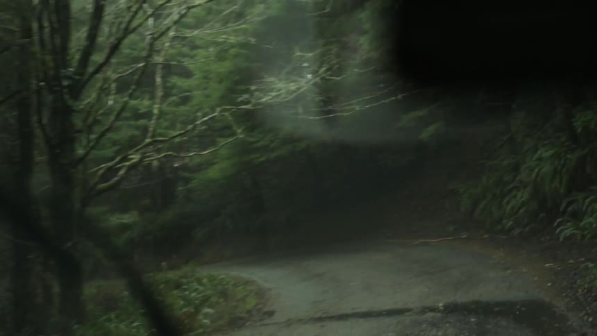 A car traveling down a small road in the woods