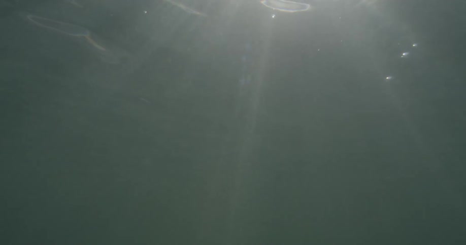 Light reflects on slowly moving water