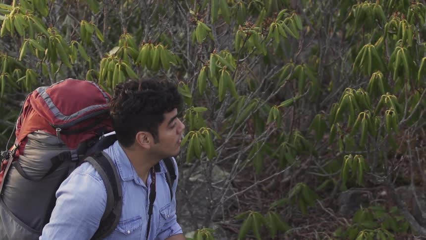 A man wearing a backpack hikes through a somewhat rocky area with bushes