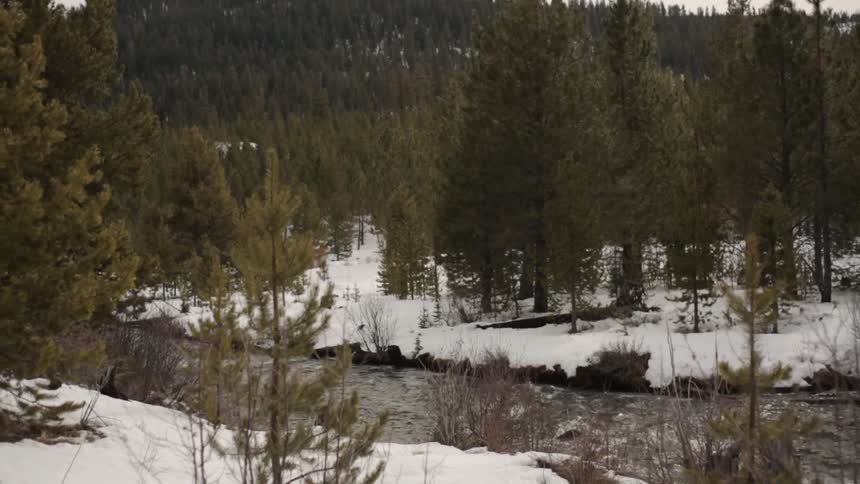A fast stream runs through a snowy landscape