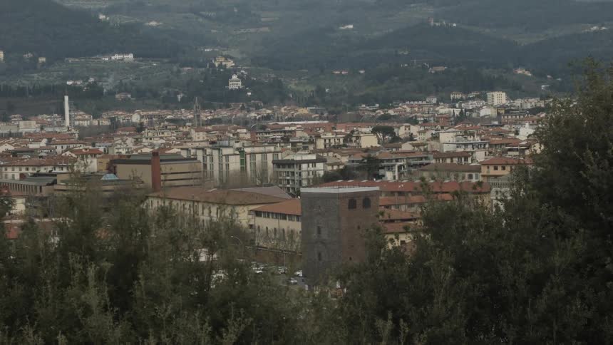 View of a town with many buildings and a field behind it