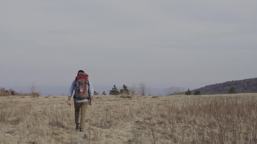 A man in a backpack hiking across a yellow field