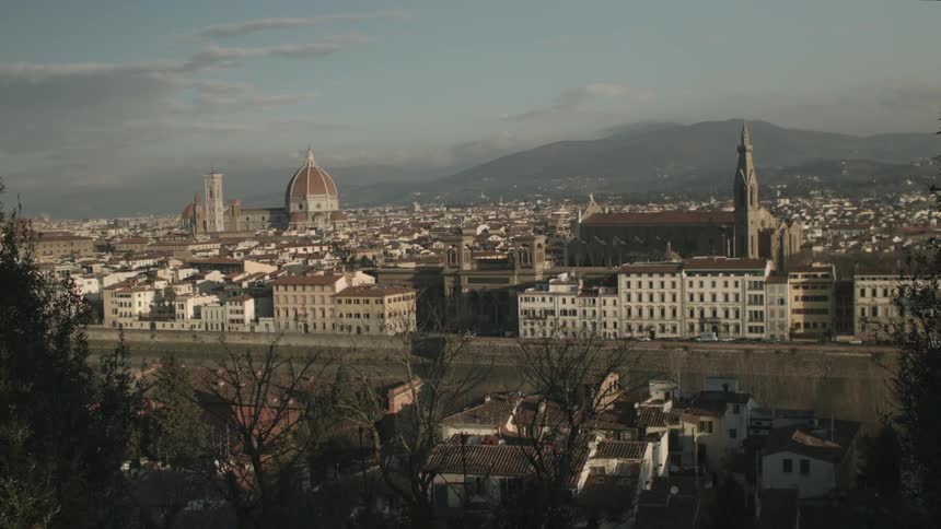 View of a large city with cars passing on a road