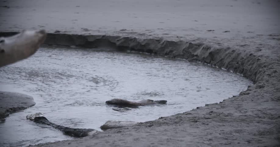 A crater in sand filled with water