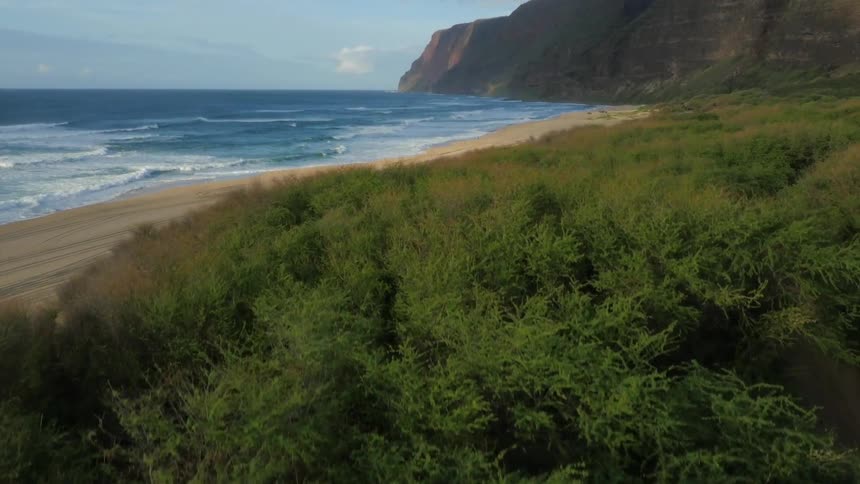 Clearing a treetop, a beach, water and rock formation are seen