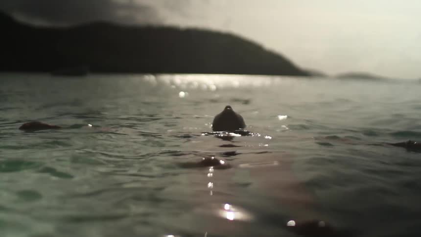 A person floating in the water on a cloudy day