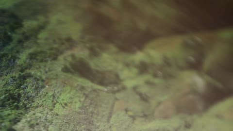 Abstract, tilt-shift shot of a hilly landscape