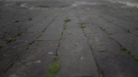 Water passes by a brick walkway