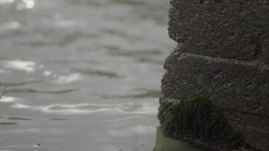 Water gently rippling next to the edge of concrete wall