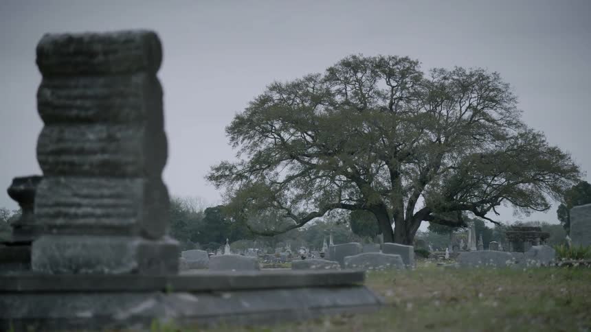Tombstones in a cemetery