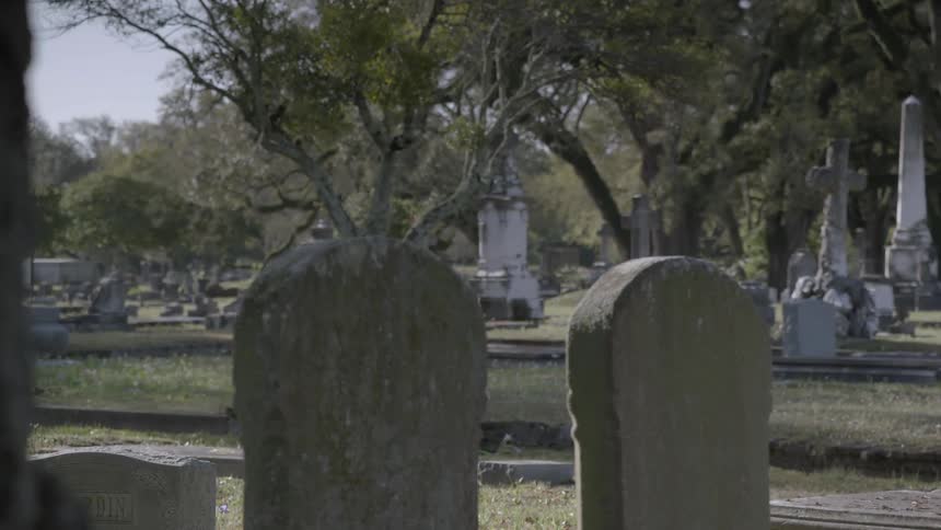 A view of a cemetery