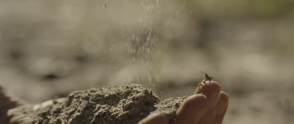 Dirt is dropped onto the palm of a hand