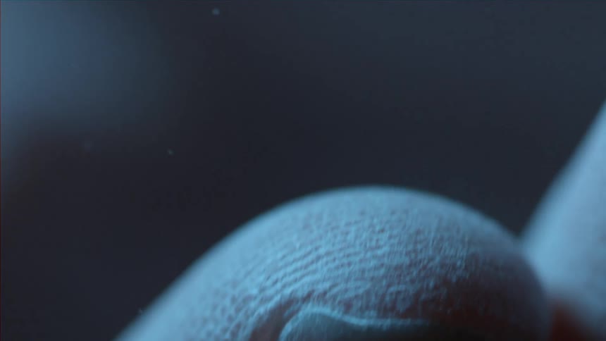 Extreme close up of fingertips covered in dust
