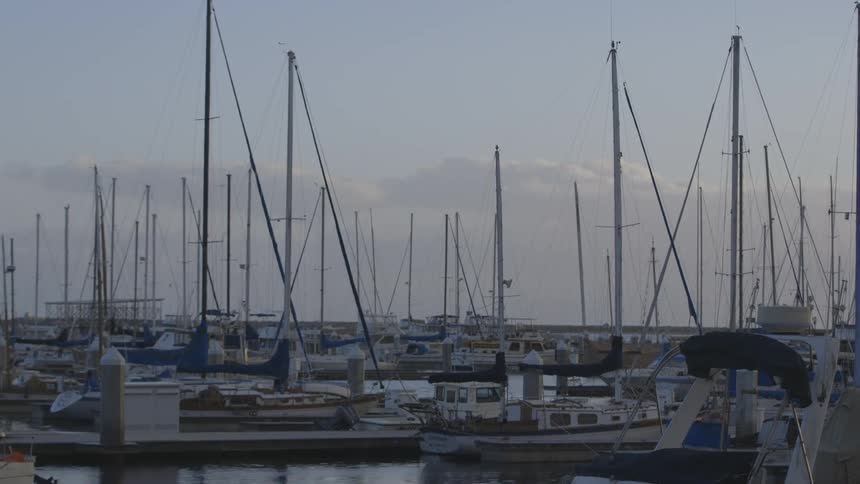 A group of boats rests in a harbor