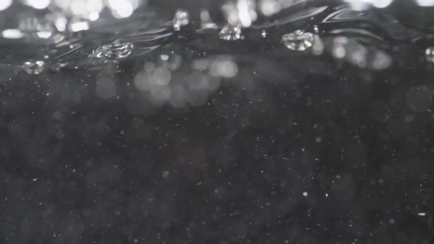 A close view of particles floating just beneath the surface of a body of water