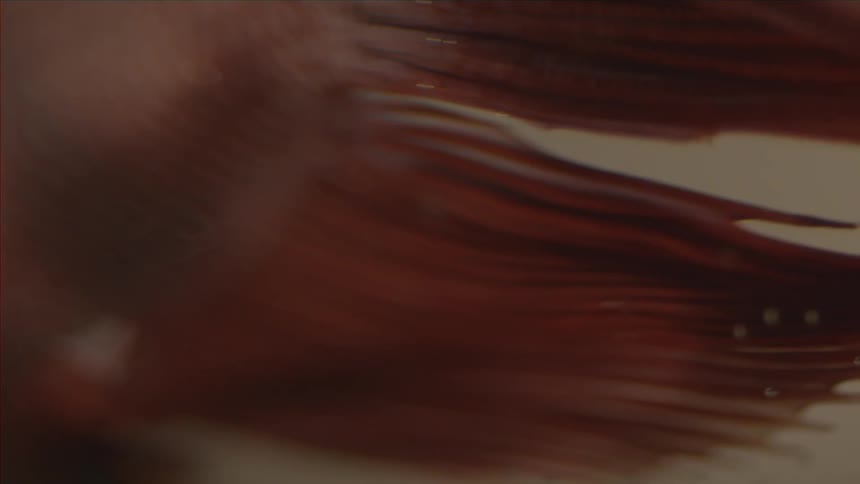 A blurry red image