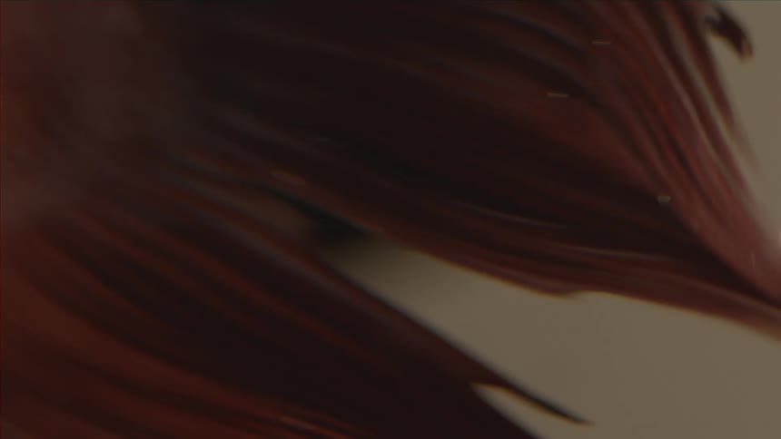 A persons hair is floating under the water