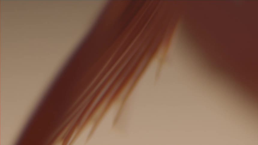 A close up view of an orange texture
