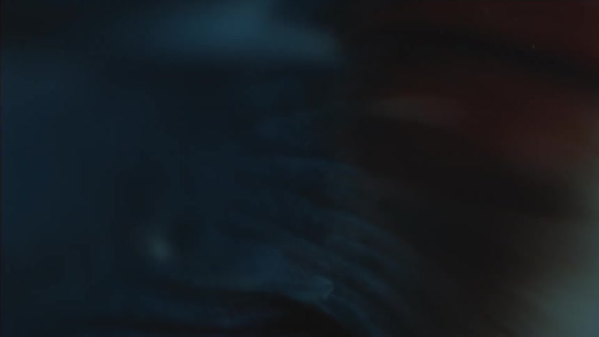 Slow motion view of a fish tail
