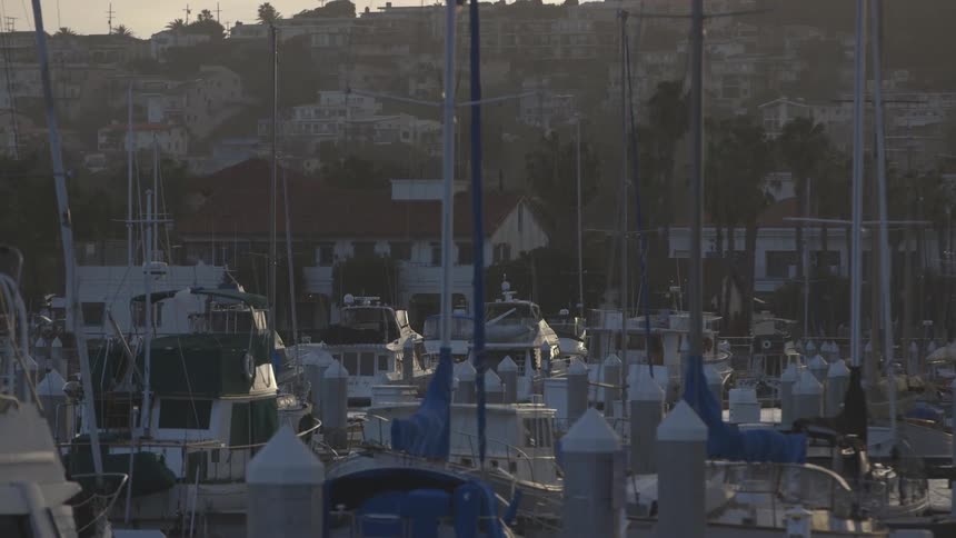 Boats sit in front of a town