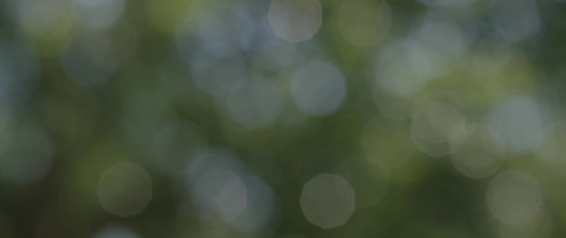 Blurry picture of green and white