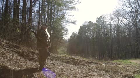 A man with a long, white beard stands in a forest