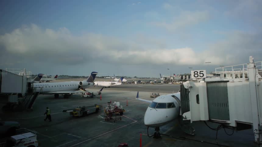 Airplanes being serviced at their airport terminals