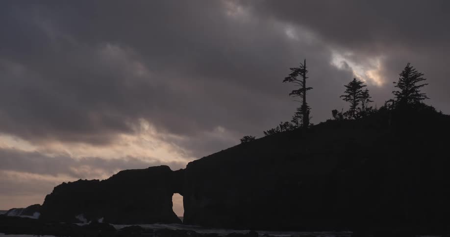 View of trees on top of an ocean side cliff as waves crash into the base on a dark and cloudy day