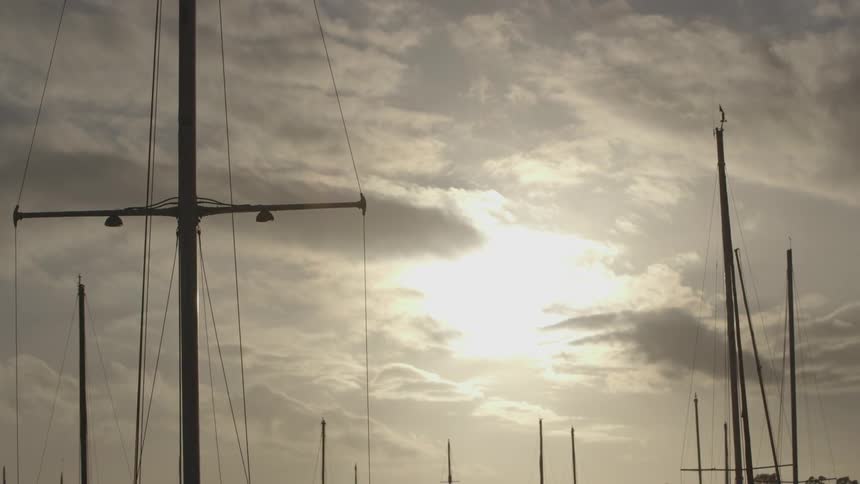 A group of masts at dusk