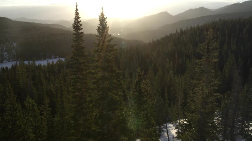 Aerial view of forest trees with in a mountain range