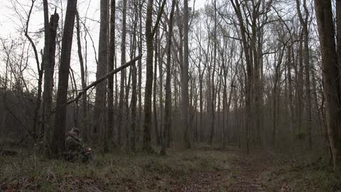 A man sits against a tree in a forest