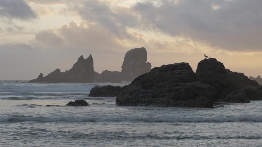 Large rocks stand out from the ocean