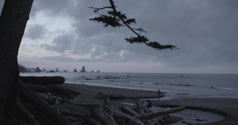 A person walking along the beach on an overcast day with driftwood in the foreground and large rocks in the background
