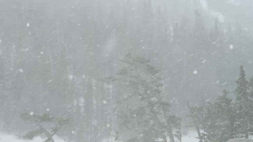 A scenery at the winter snow storm