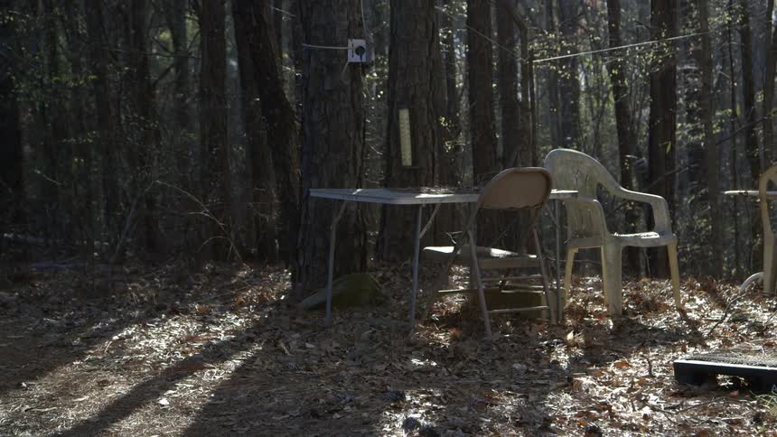 A table, folding chair and lawn chair in front of pine trees