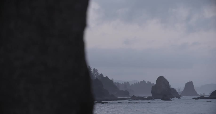 A rocky coastline in the fog