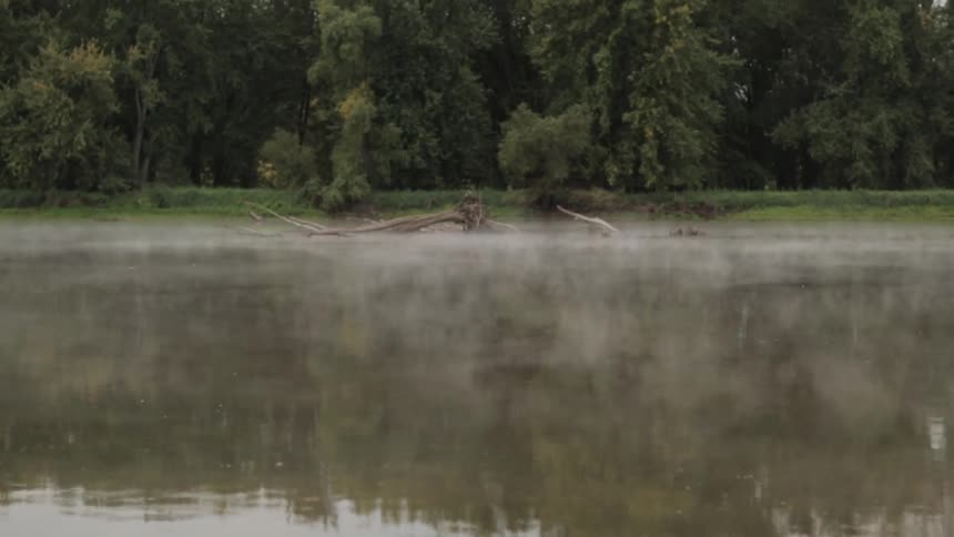 Fog creeps over a lake